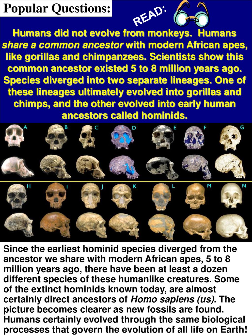 Evolution Part Two. - ppt download