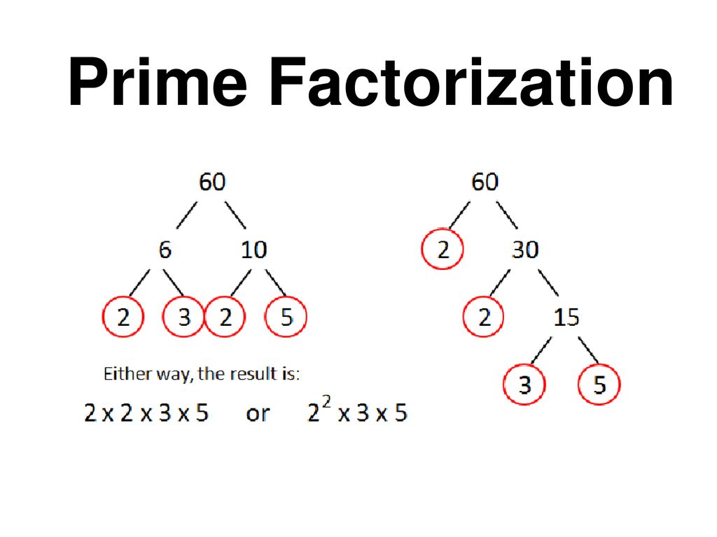 Base. ppt download