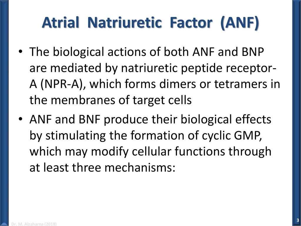 Atrial Natriuretic Factor (ANF)