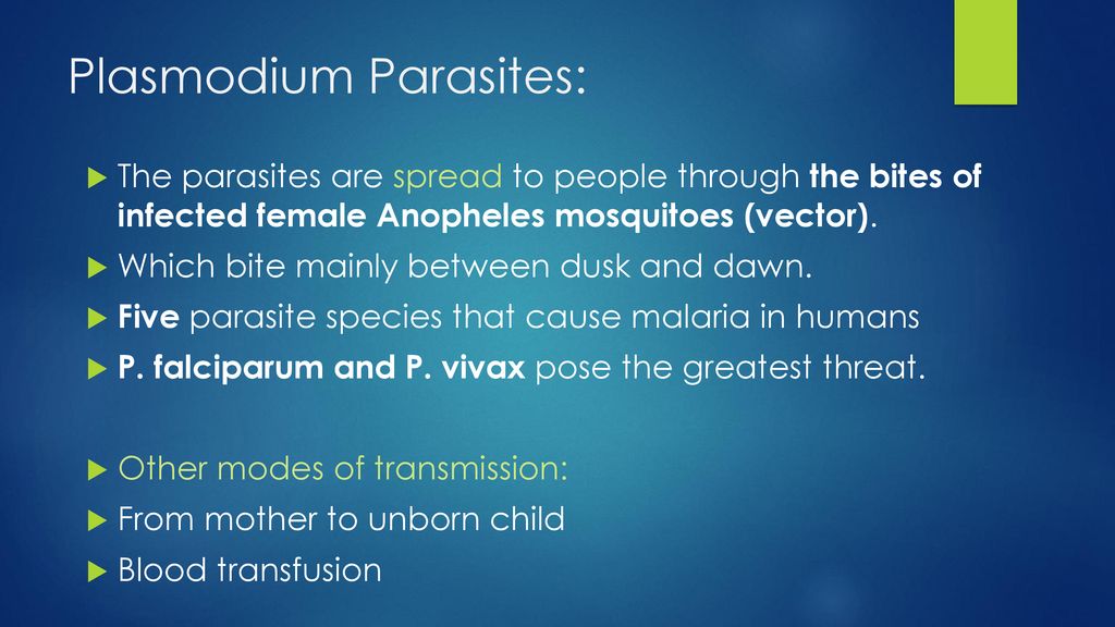 Plasmodium Parasites: