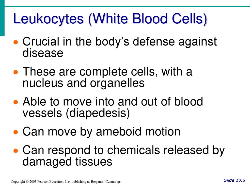 Leukocytes (White Blood Cells)