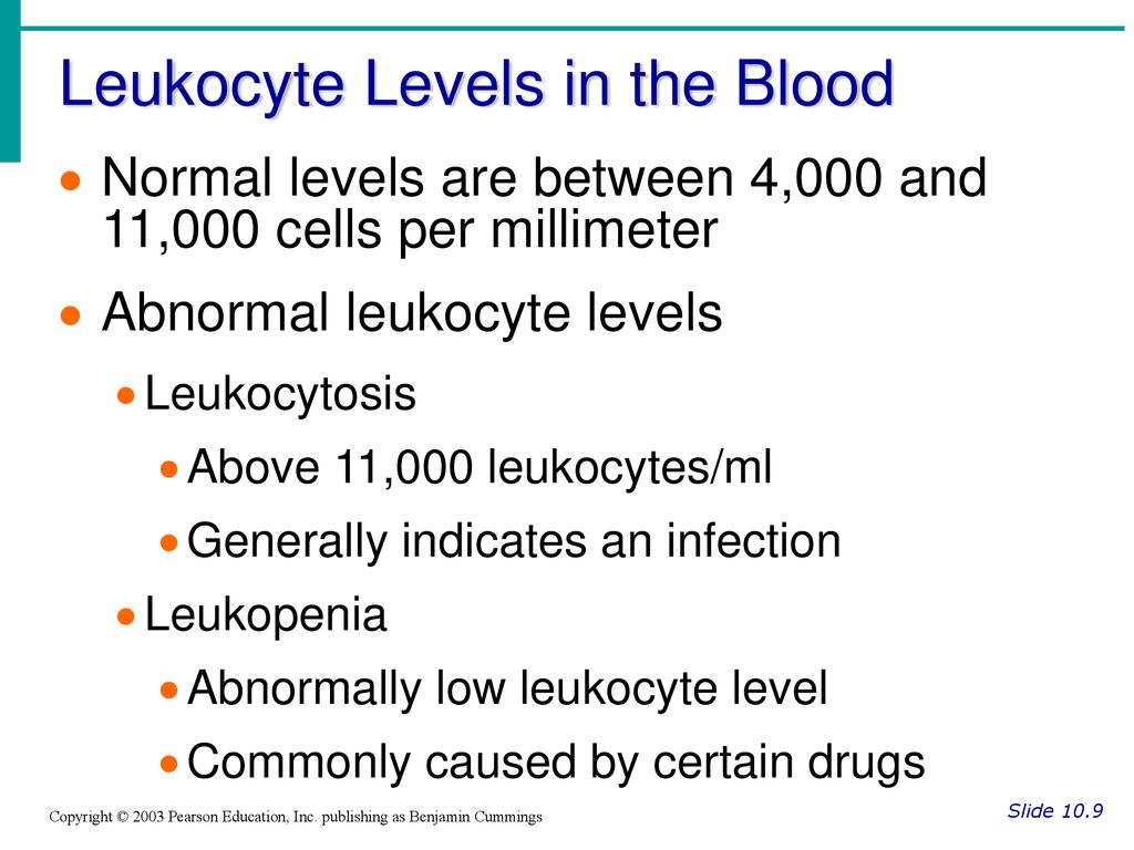 Leukocyte Levels in the Blood