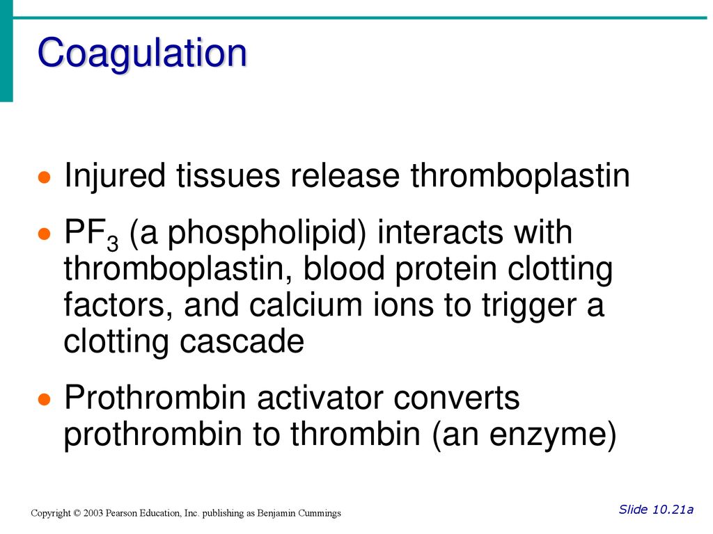 Coagulation Injured tissues release thromboplastin