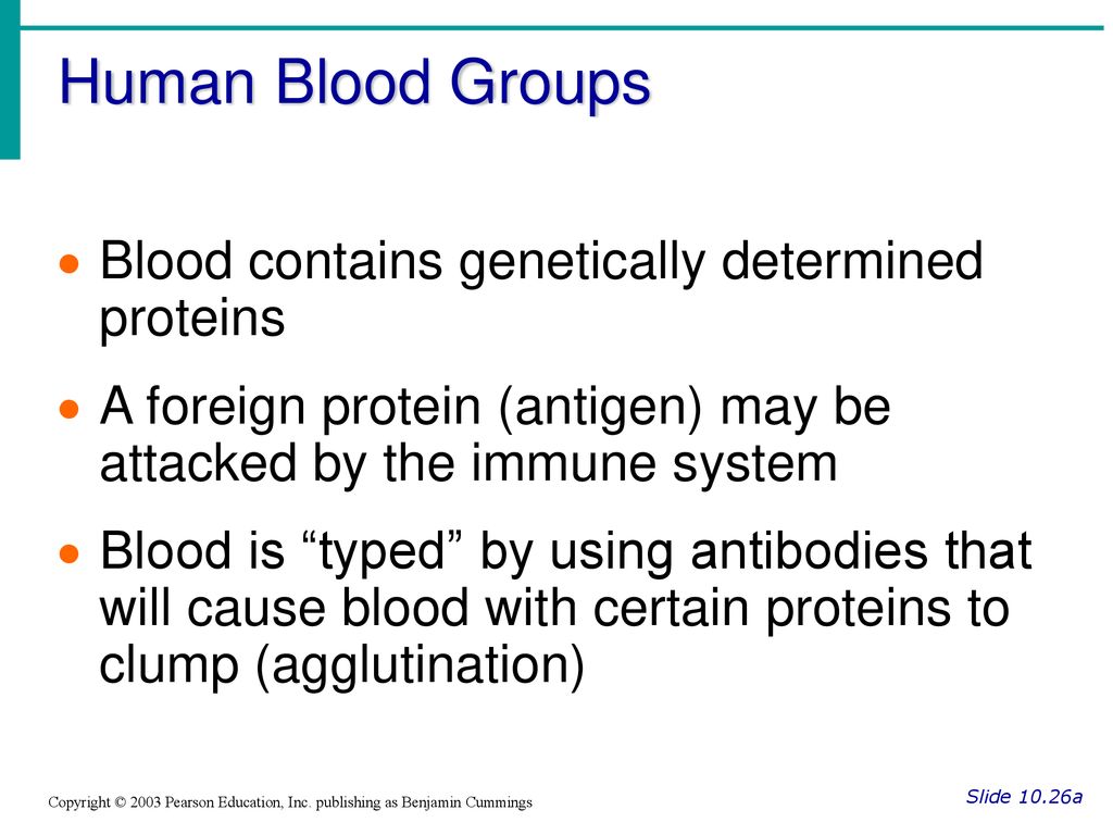 Human Blood Groups Blood contains genetically determined proteins