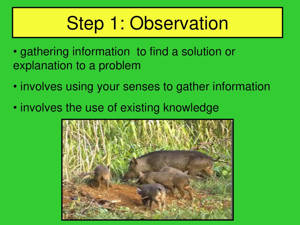 Step 1: Observation gathering information to find a solution or explanation to a problem. involves using your senses to gather information.