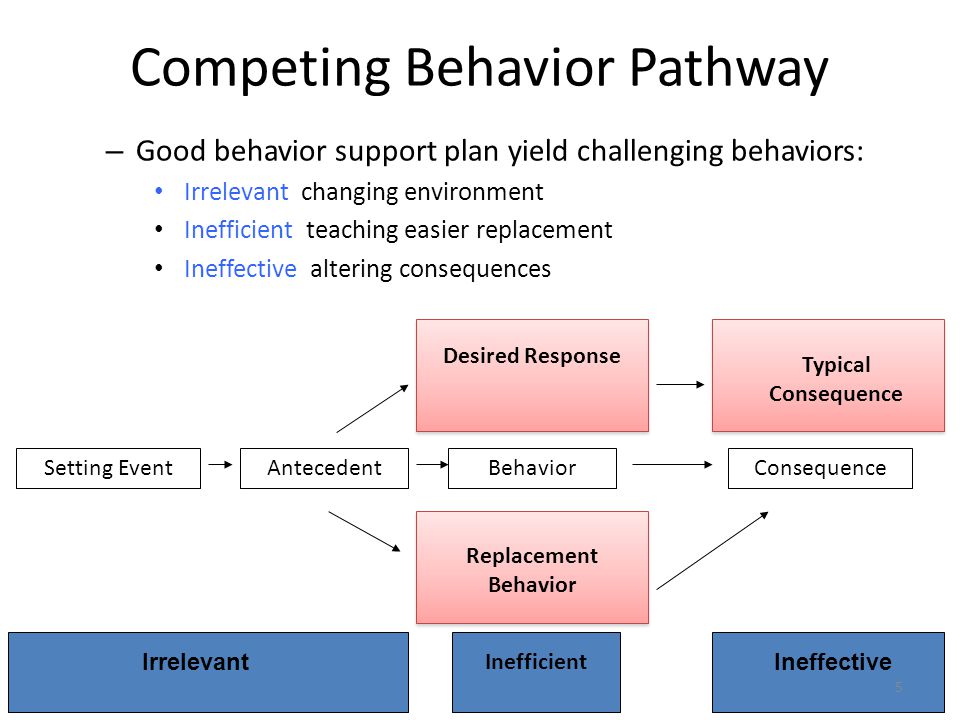 Support plan. Ineffective inefficient разница. Behaviors. Behavior перевод. Competing.