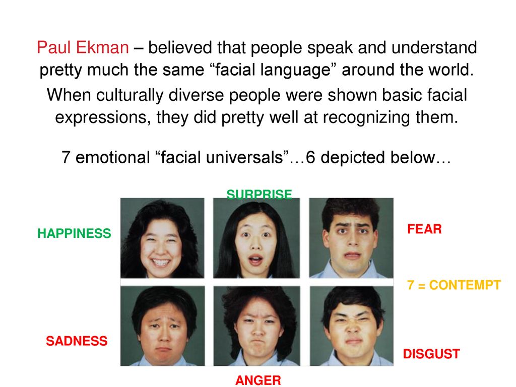 Six Basic Emotions By Paul Ekman List Facial Expressions 52 Off