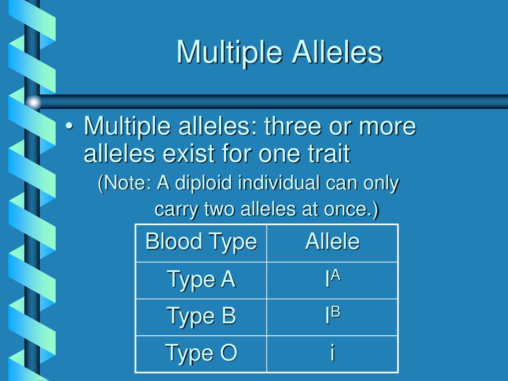 Multiple Alleles Multiple alleles: three or more alleles exist for one trait.