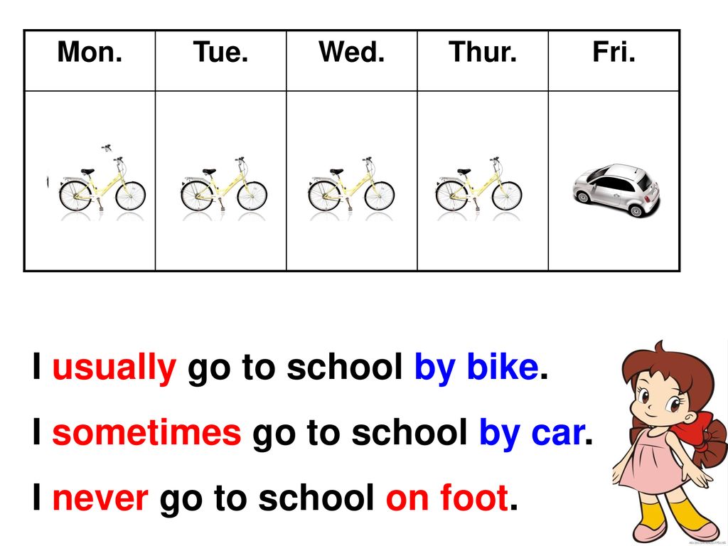 I usually go to school by bike. I sometimes go to school by car.