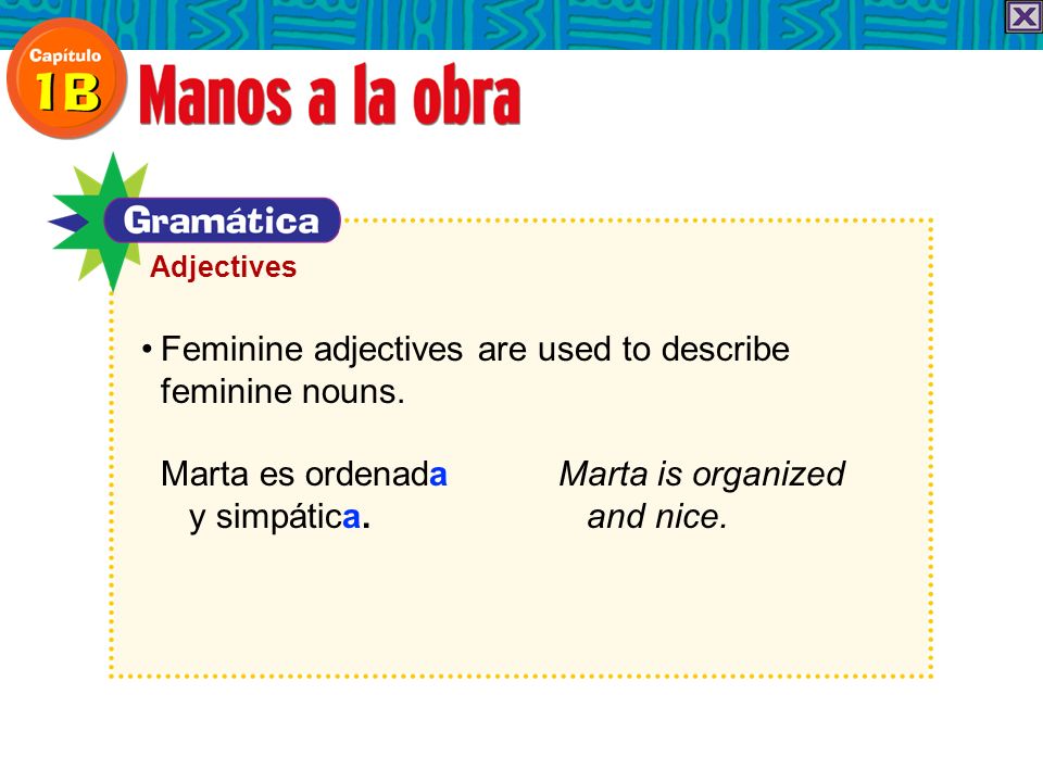 Adjectives Feminine adjectives are used to describe feminine nouns.