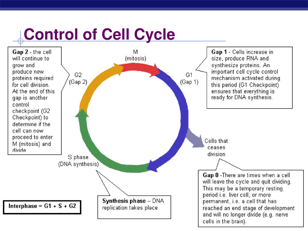 Biology is the only subject in which multiplication is the same thing Biology Diagrams