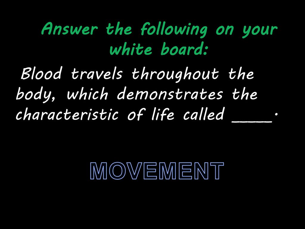 Answer the following on your white board: