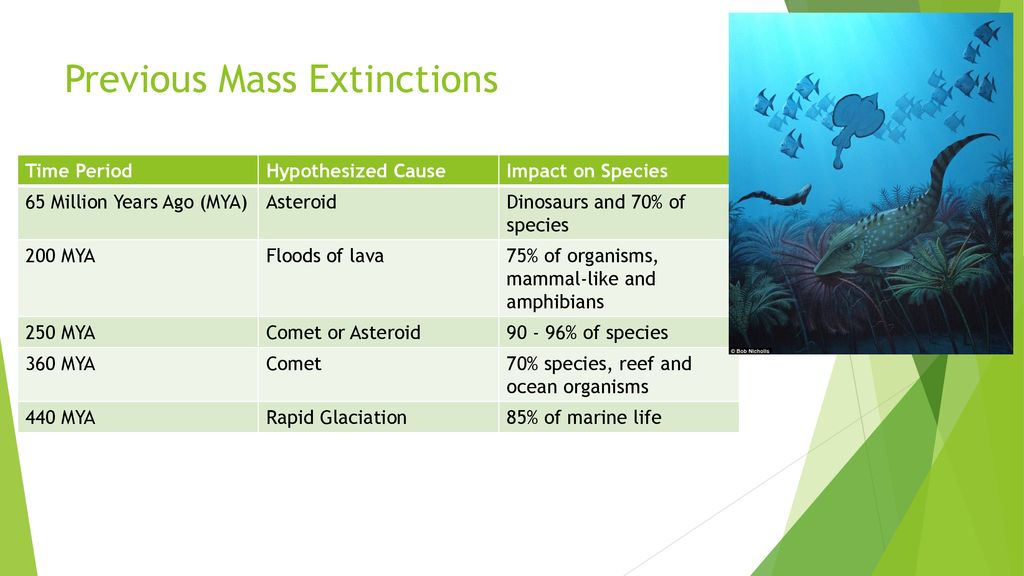 Previous Mass Extinctions