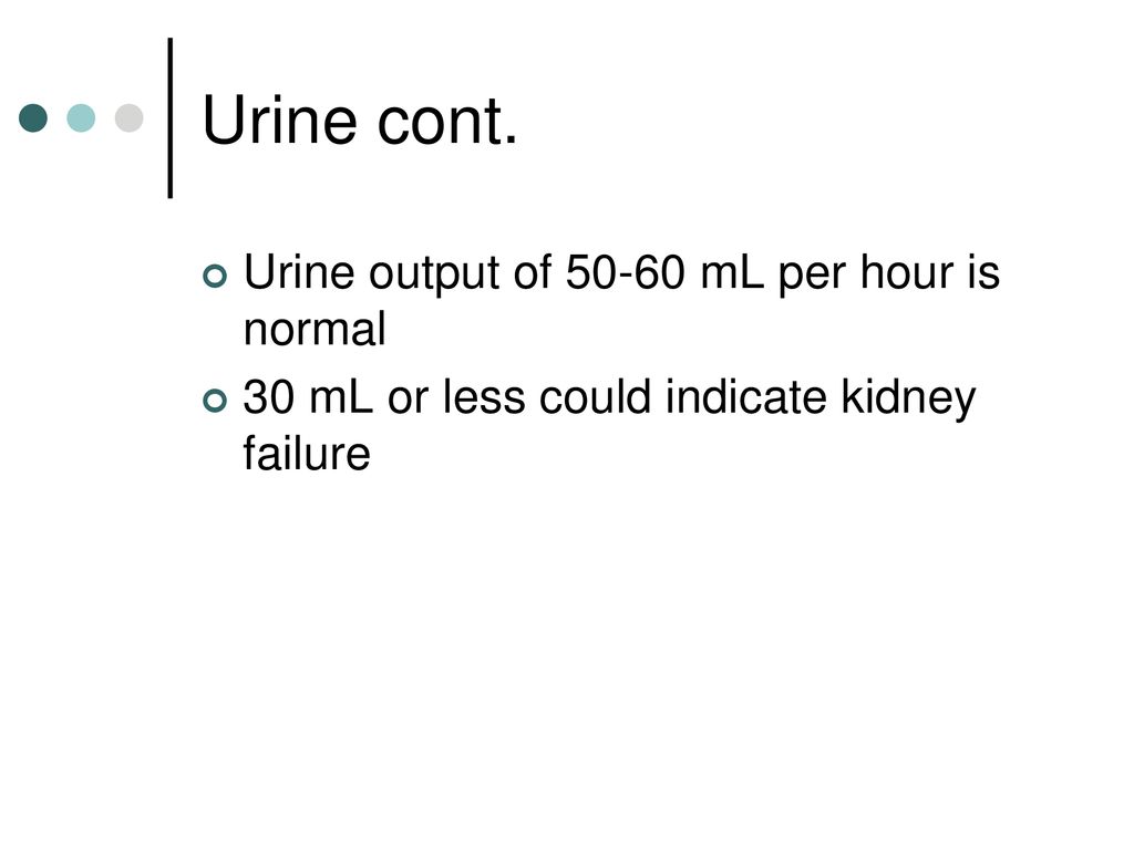 Urinary System Don't break the seal…. - ppt download