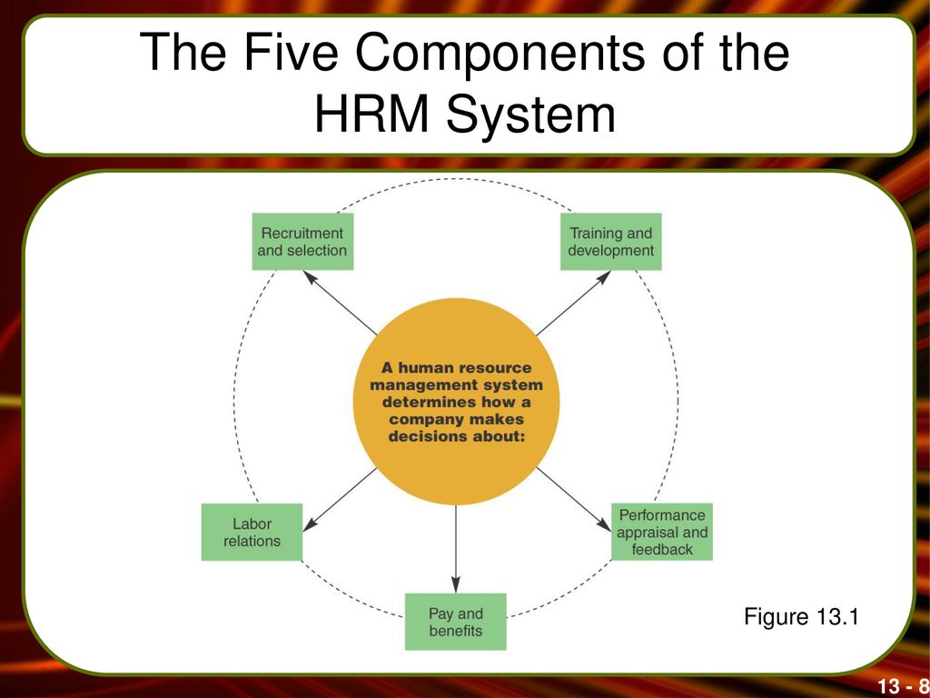 components of human resource management