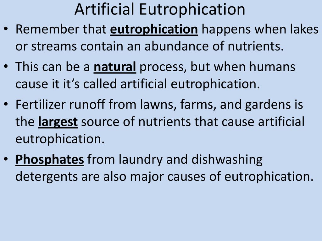 Artificial Eutrophication