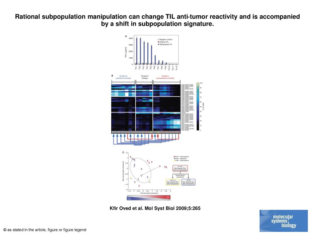 Rational subpopulation manipulation can change TIL anti‐tumor reactivity and is accompanied by a shift in subpopulation signature.