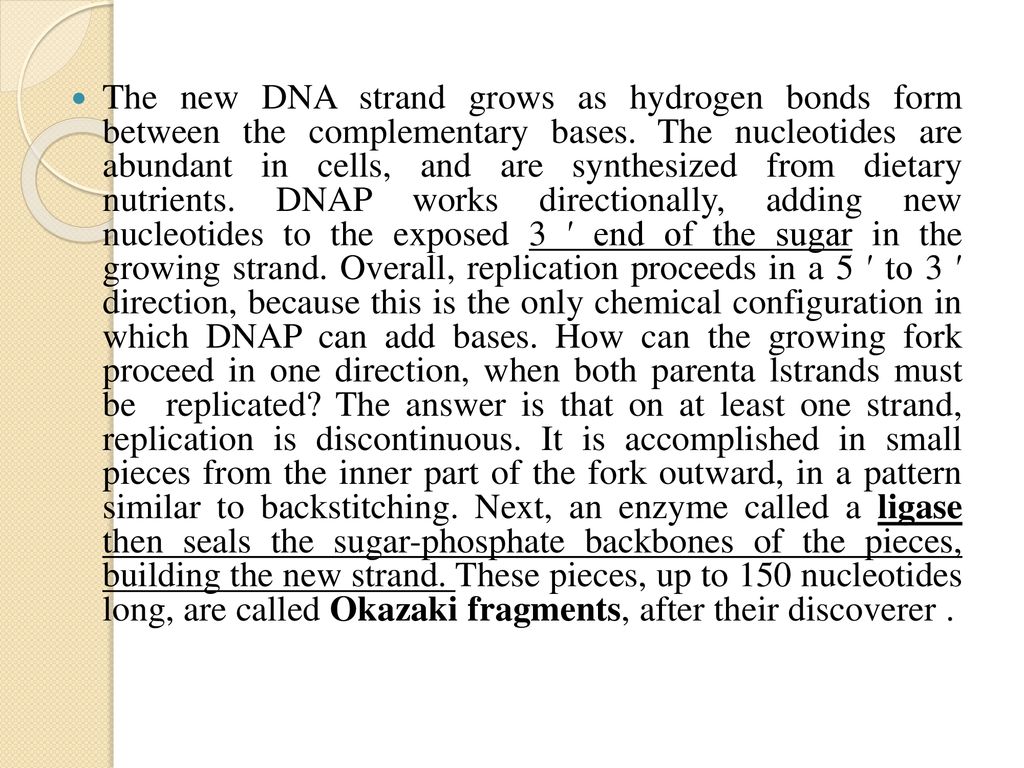 The new DNA strand grows as hydrogen bonds form between the complementary bases.