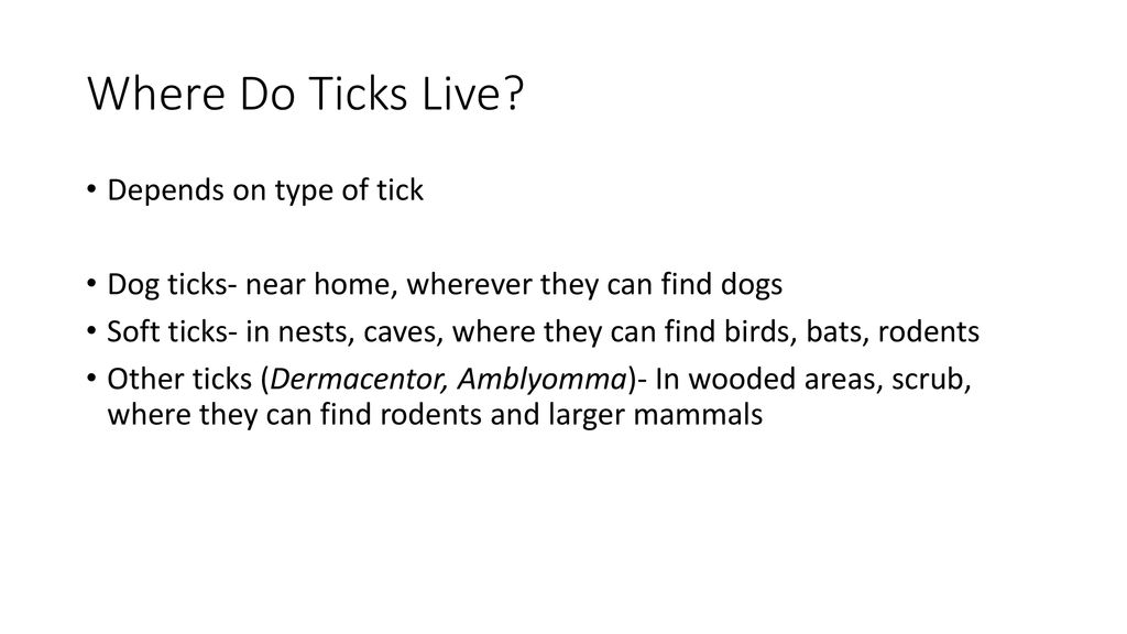 Where Do Ticks Live Depends on type of tick