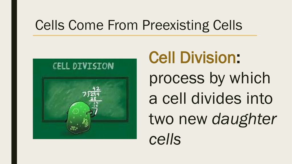 Starter Name The Three Components Of The Cell Theory Ppt Download starter-name-the-three-components-of-the-cell-theory-ppt-download
