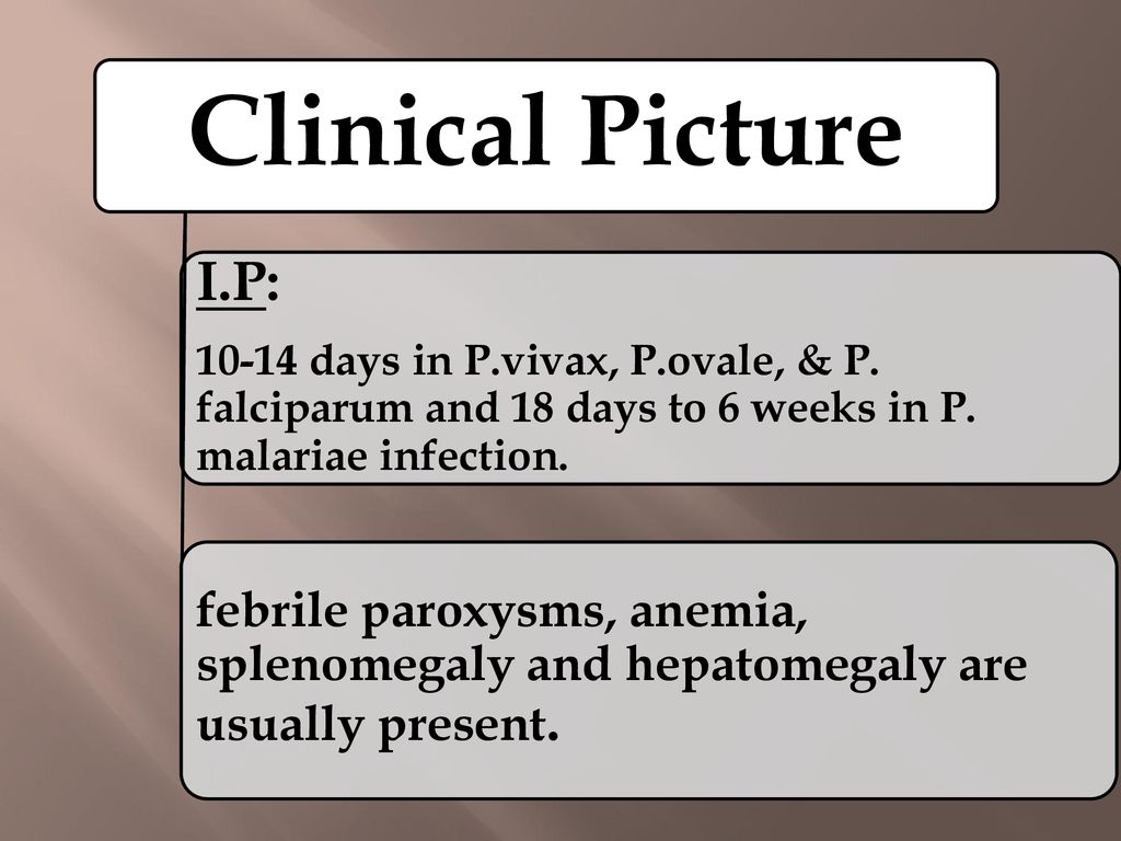 Clinical Picture I.P: days in P.vivax, P.ovale, & P. falciparum and 18 days to 6 weeks in P. malariae infection.