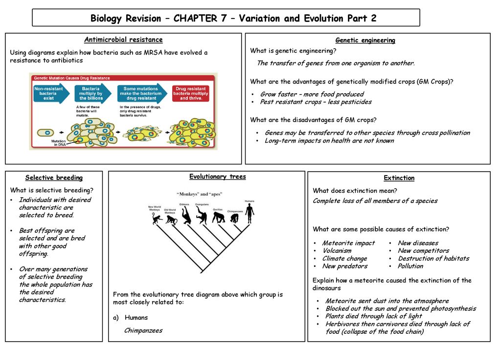 Darwin and his evidence - ppt download