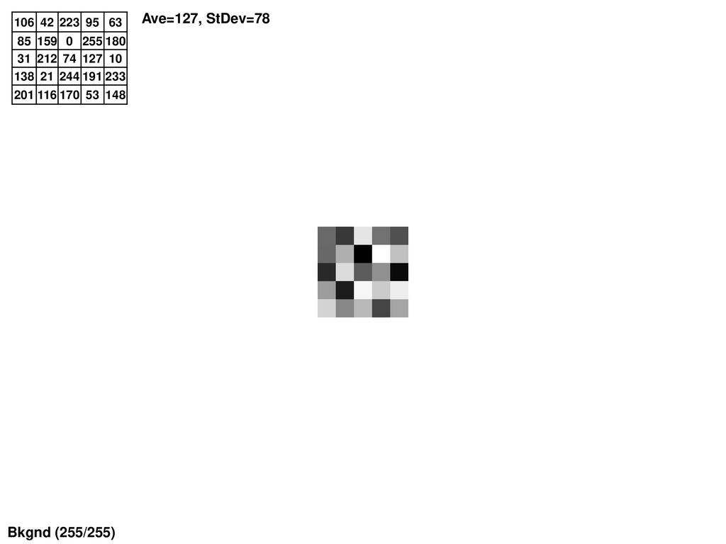 244 255 255 255 244 255 255 255