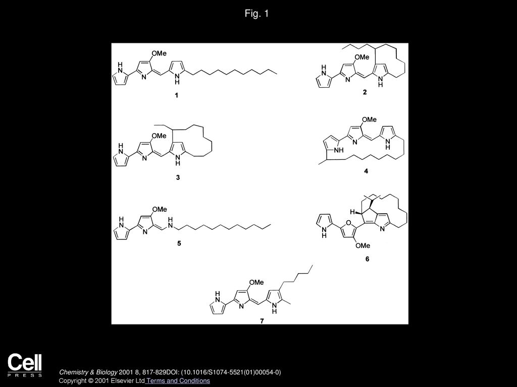 Structures Biosynthesis And Bioactivities Of Prodiginine Natural