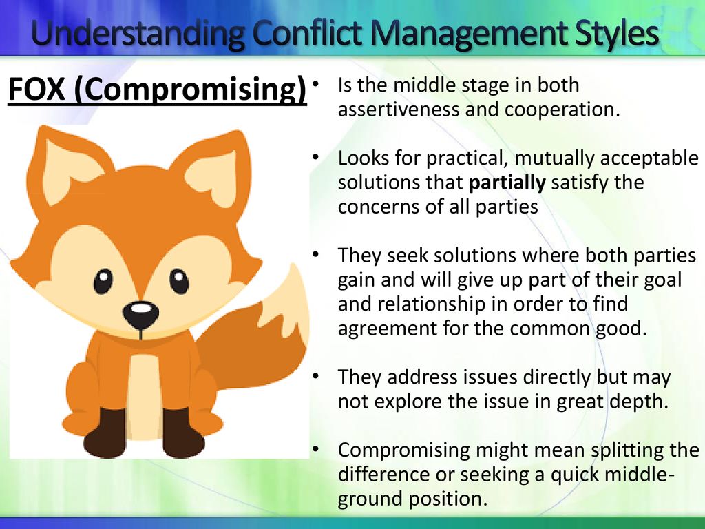 Conflict Management Styles - ppt download