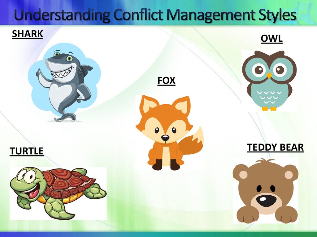 Conflict Management Styles - ppt download