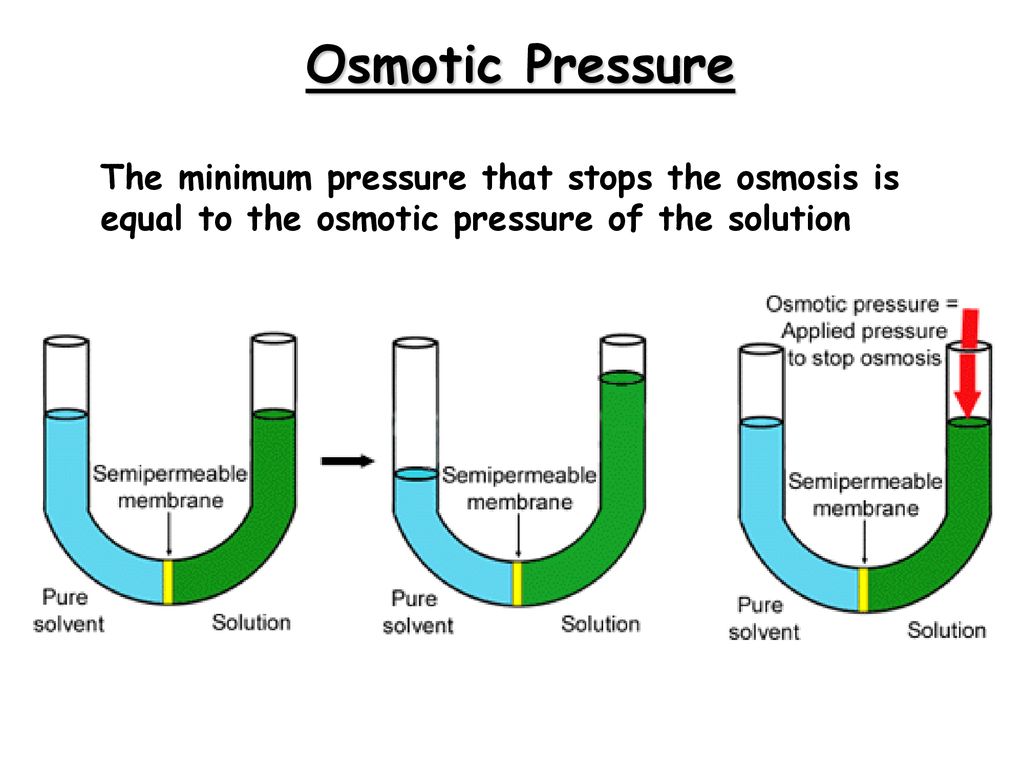 Osmotic Pressure The minimum pressure that stops the osmosis is equal to the osmotic pressure of the solution.