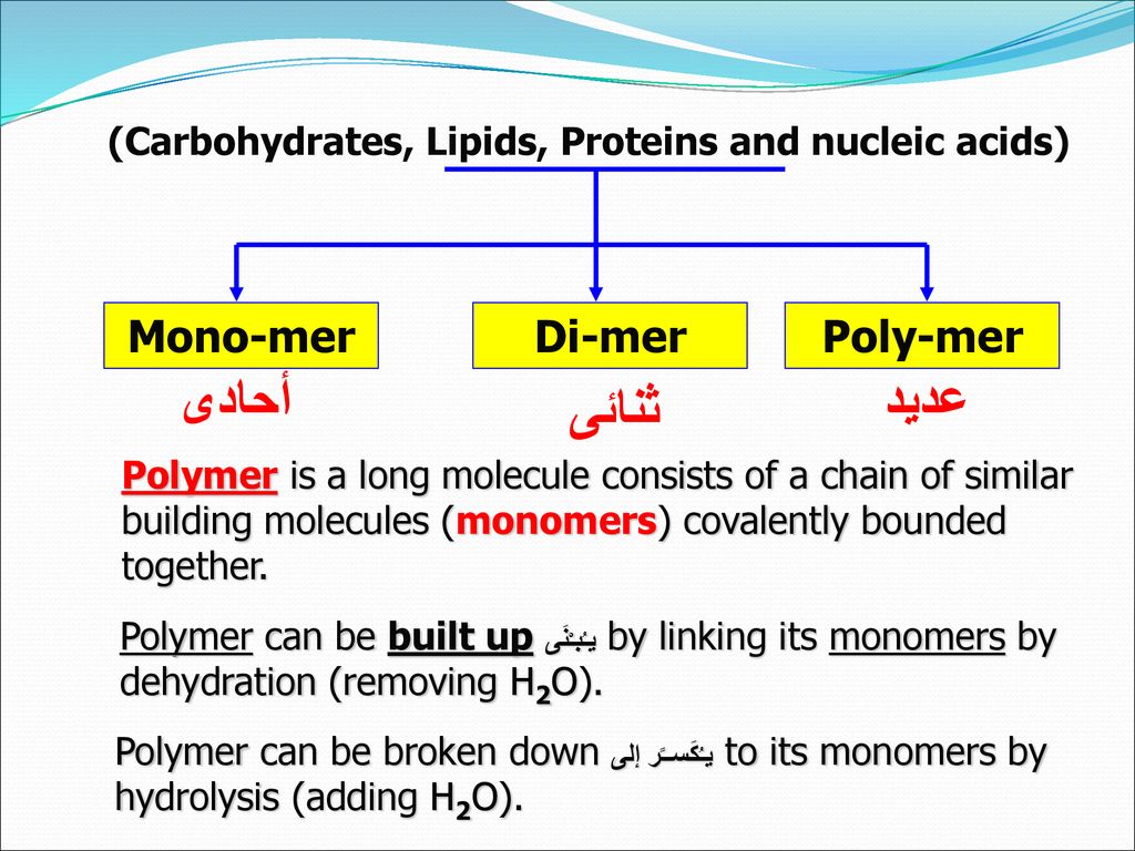 (Carbohydrates, Lipids, Proteins and nucleic acids)