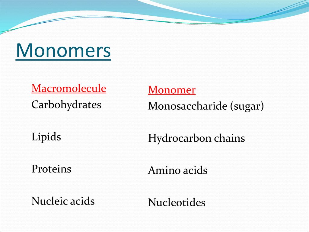 Monomers Macromolecule Carbohydrates Lipids Proteins Nucleic acids