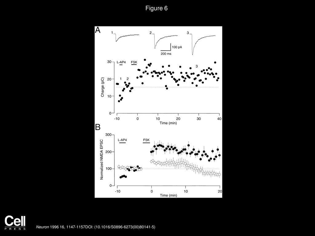 Effects Of Forskolin On Presynaptic Calcium Transients A B