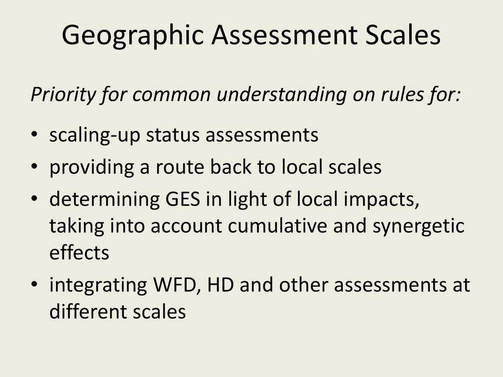 Geographic Assessment Scales