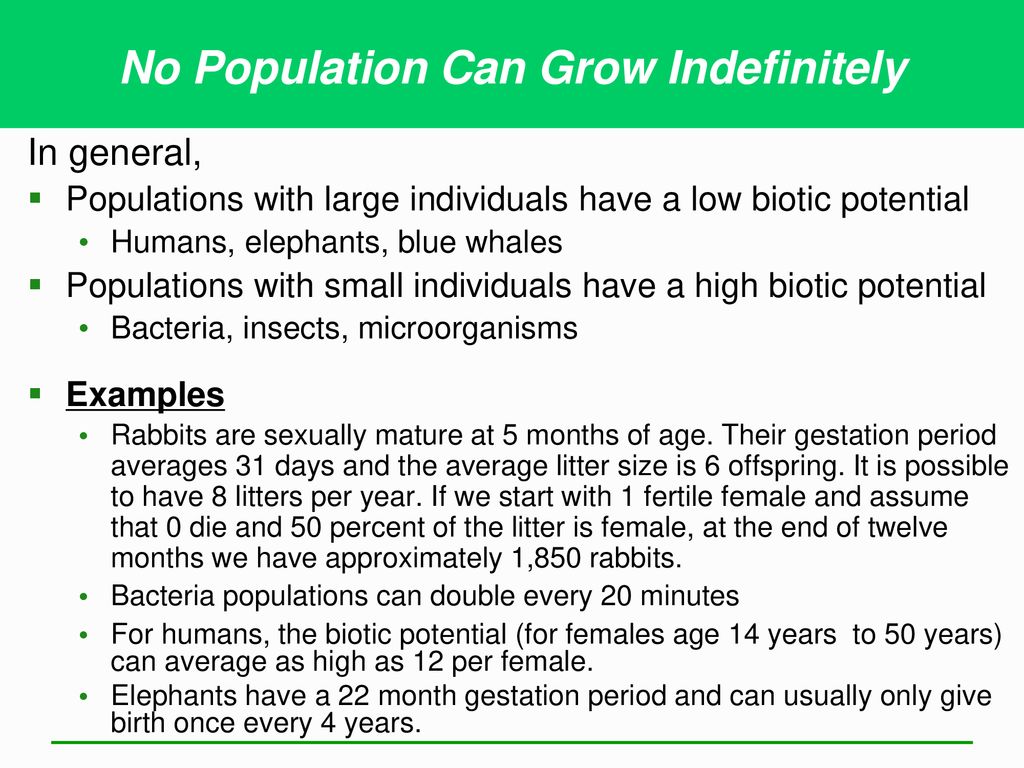 Biodiversity, Species Interactions, and Population Control - ppt download