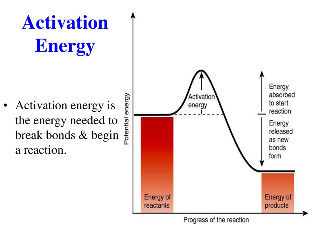 The Chemical Level of Organization - ppt download