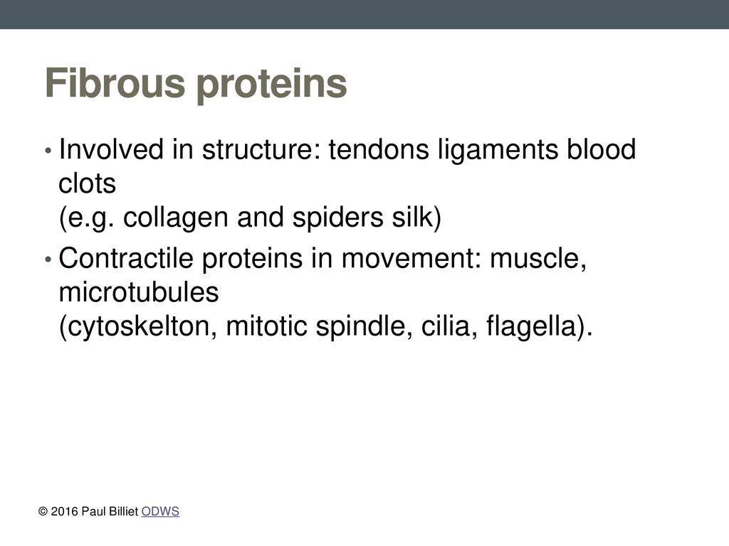Fibrous proteins Involved in structure: tendons ligaments blood clots (e.g. collagen and spiders silk)