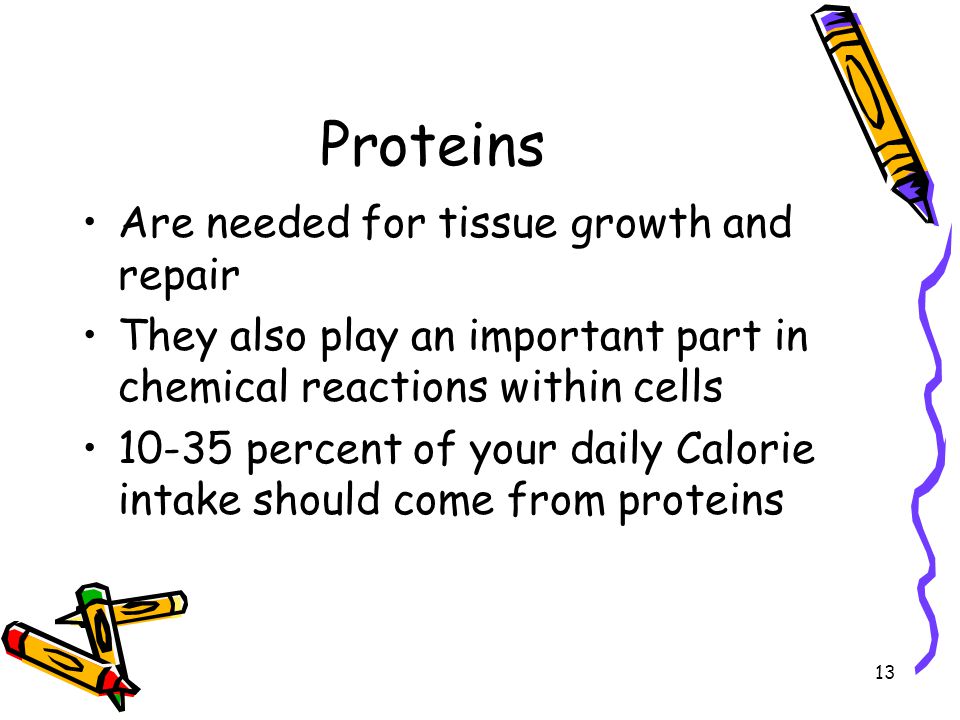Proteins Are needed for tissue growth and repair