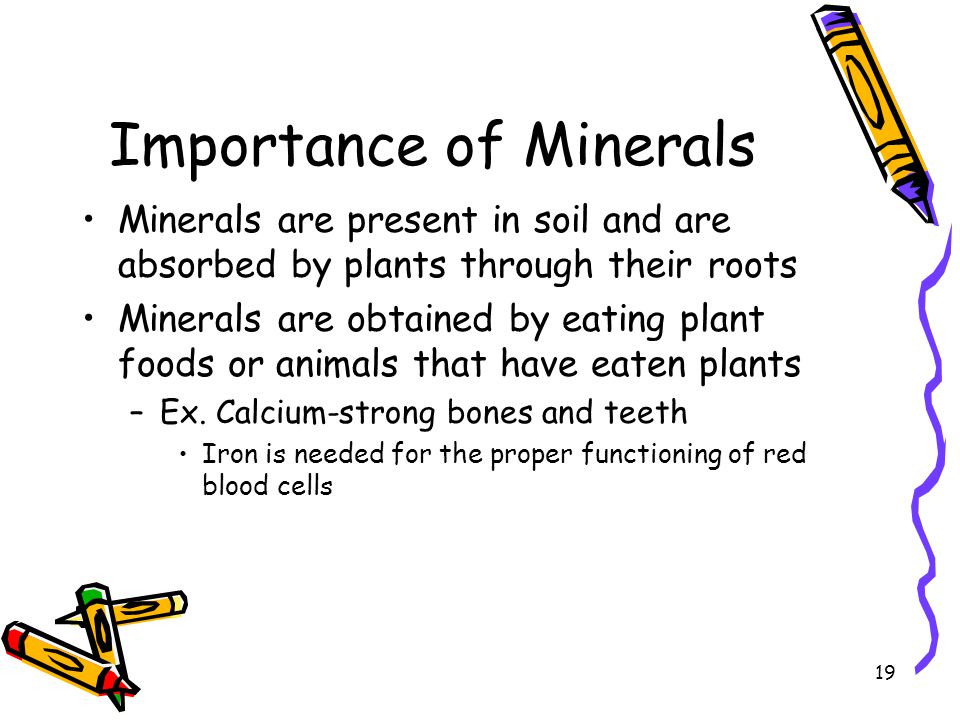 Importance of Minerals