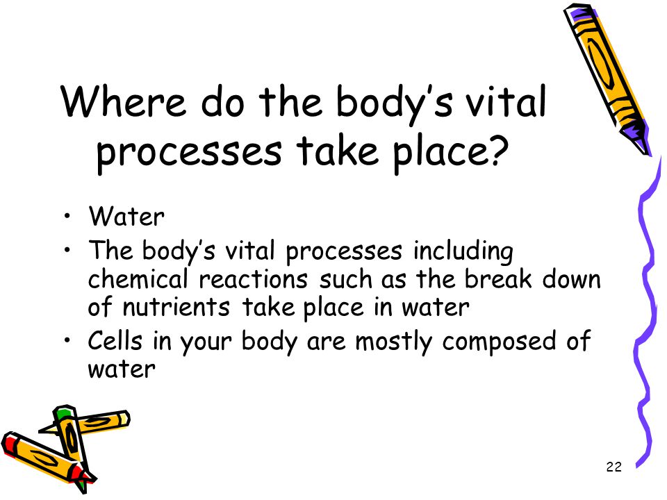 Where do the body’s vital processes take place