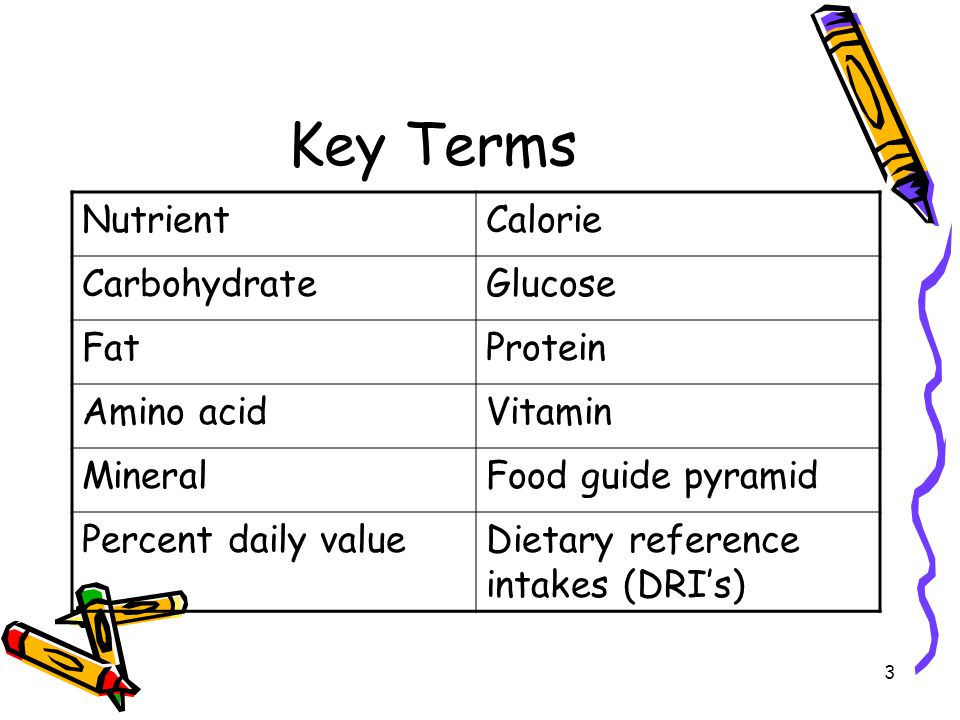 Key Terms Nutrient Calorie Carbohydrate Glucose Fat Protein Amino acid