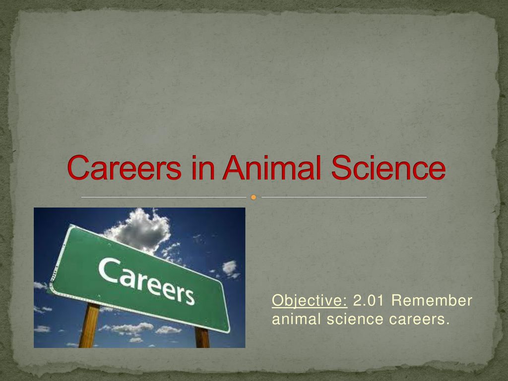 jobs-careers-in-animal-science