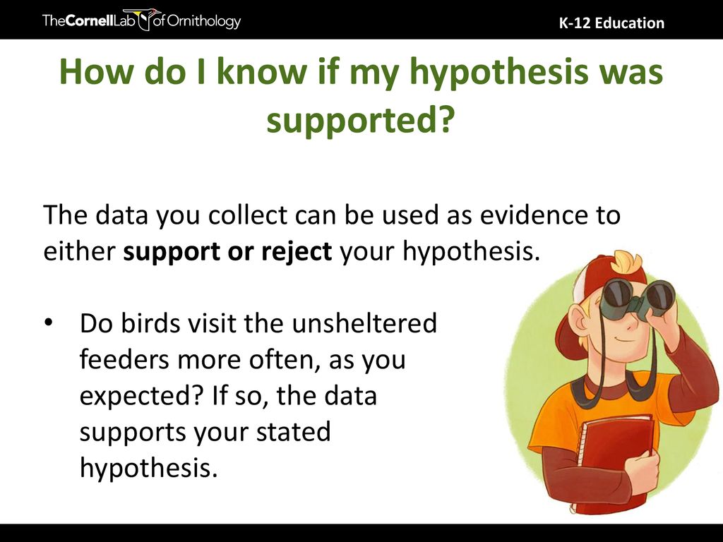 how to say that your hypothesis was supported