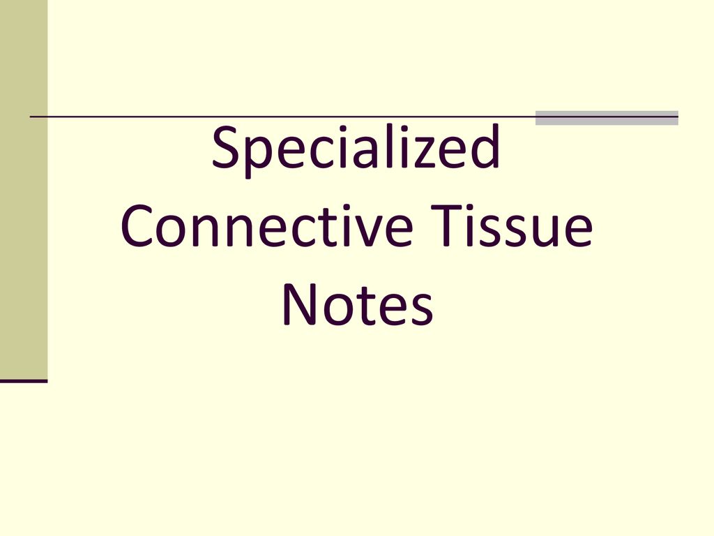 Specialized Connective Tissue Notes - ppt download