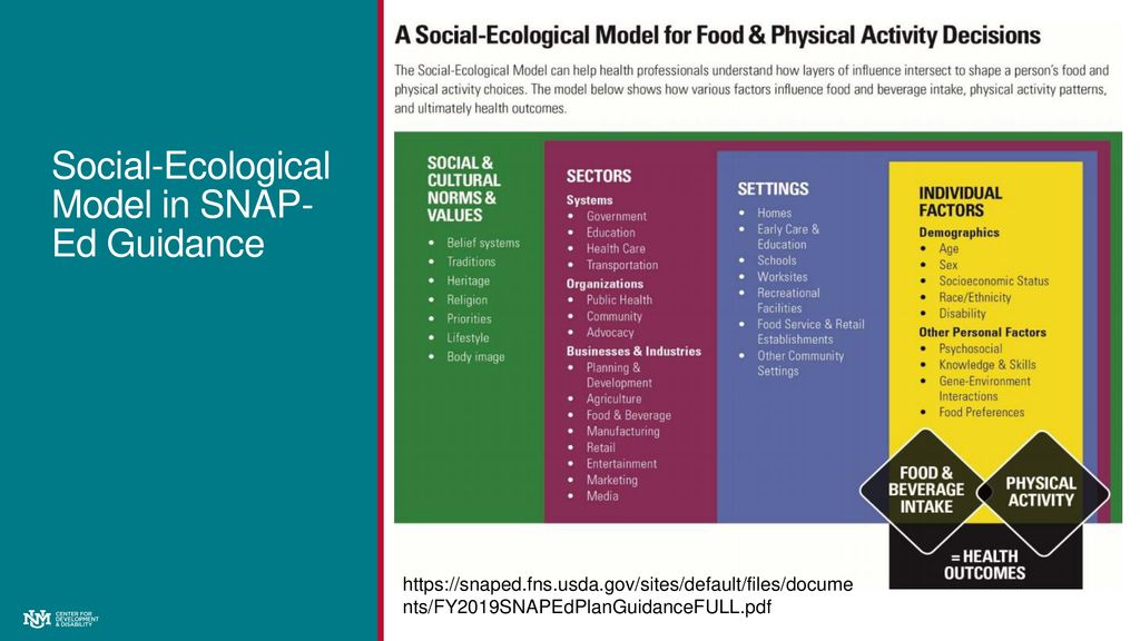 Federal Nutrition Policy in Practice Tying It All Together ppt download