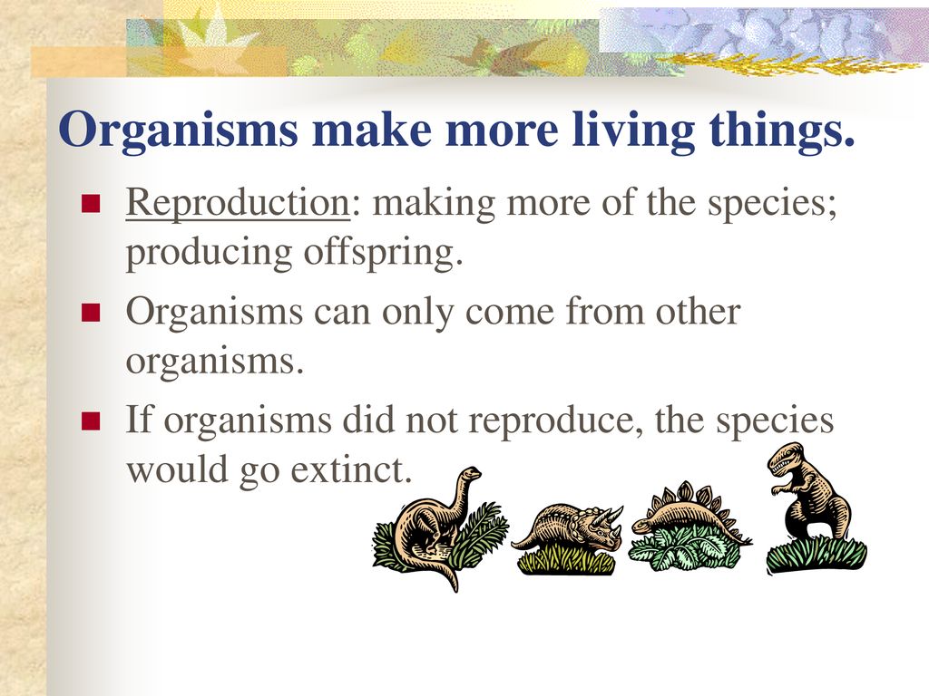 What Is Biology? Chapter ppt download