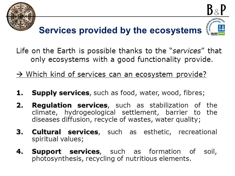 Services provided by the ecosystems