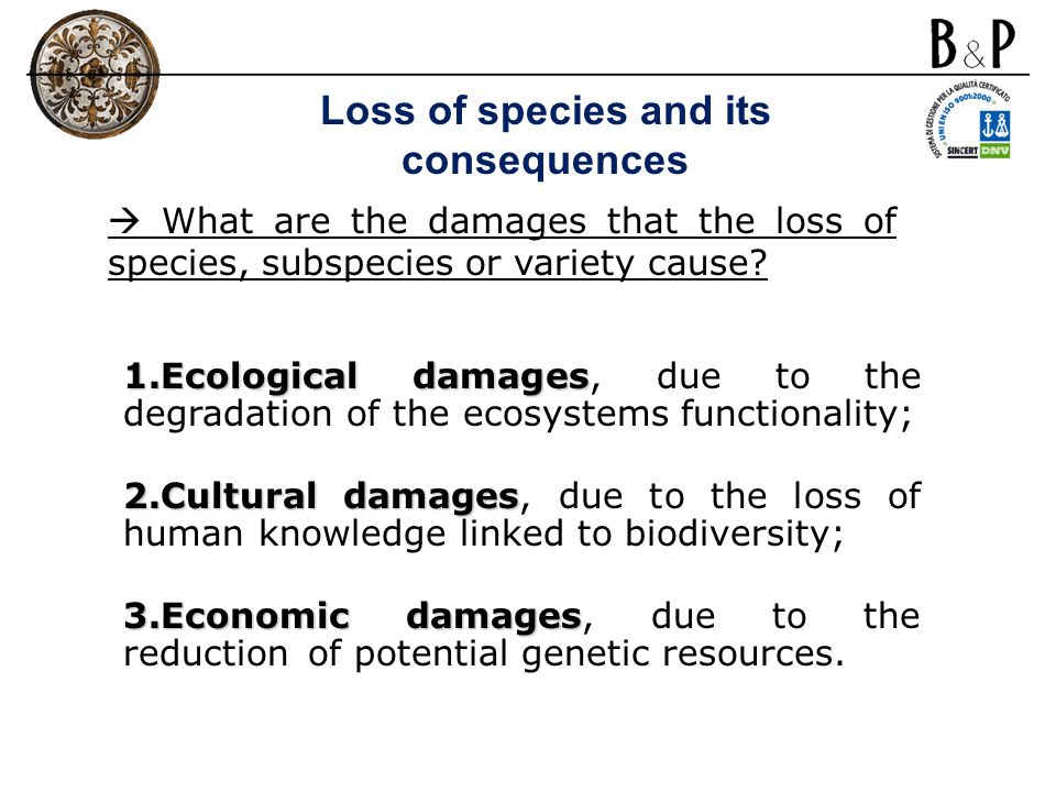 Loss of species and its consequences
