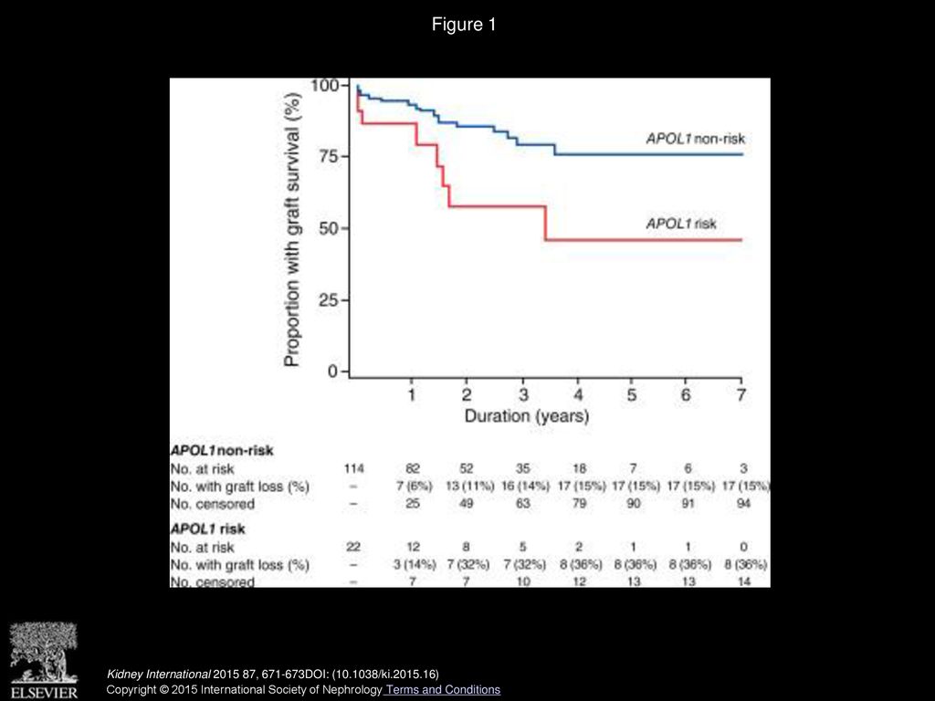 Should Kidney Donors Be Genotyped For APOL1 Risk Alleles? - Ppt Download